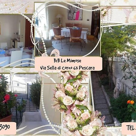 Le Mimose Bed and Breakfast Πεσκάρα Εξωτερικό φωτογραφία